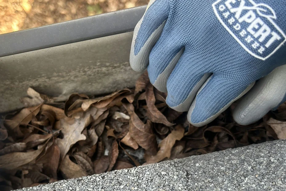 Gutter Cleaning Arlington TN