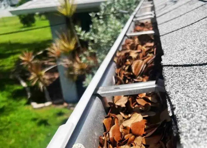 Gutter Cleaning Arlington TN home page